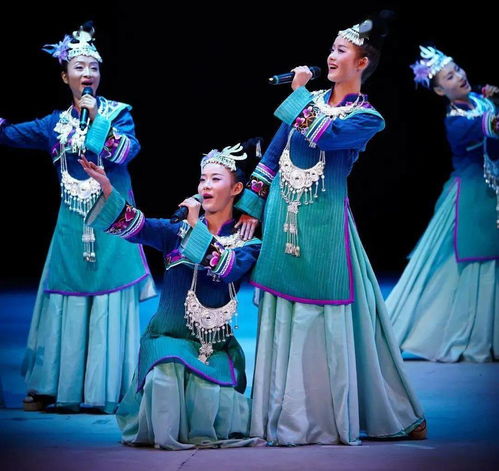曲靖市参加云南省第十二届民族民间歌舞乐展演获佳绩